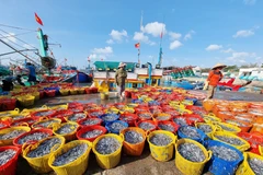 Ninh Thuan fishermen set sail for a prosperous year