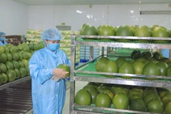 Vietnamese enterprises shift towards deep processing to increase exports