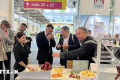 Vietnam makes largest-ever presence at Germany fruit fair