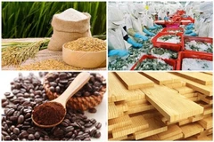 Agro-forestry and fishery exports up by 14.3%