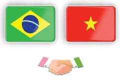 Vietnam–Brazil strategic partnership