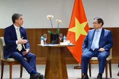 Vietnamese PM Pham Minh Chinh works with leading Brazilian businesses