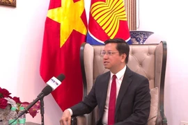 Vietnamese Ambassador to India, concurrently accredited to Nepal and Bhutan, Nguyen Thanh Hai. (Photo: VNA)