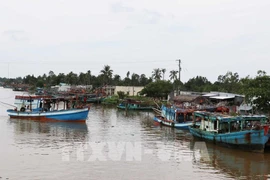 Ca Mau province strengthens the management and supervision of fishing vessels. (Photo: VNA)