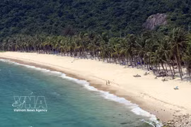 Pristine white-sand beach on Cu Lao Cham Island, Da Nang city, is a magnet for visitors. (Photo: VNA)