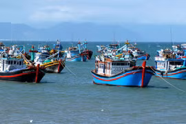 (Illustrative photo: thuysanvietnam.com.vn)