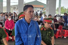 Defendant Le Duy Tinh (Photo published by VNA)