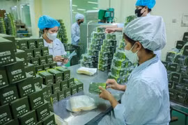 Lam Dong Pharmaceutical Joint Stock Company (Ladophar) develops numerous products that meet OCOP standards. (Photo: VNA) 