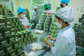 Lam Dong Pharmaceutical Joint Stock Company (Ladophar) develops numerous products that meet OCOP standards. (Photo: VNA) 