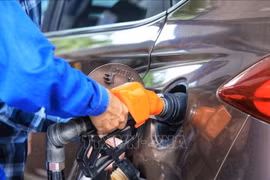 From January 1, 2026, all petrol distributed across Vietnam must contain 10% ethanol. (Photo: VNA)