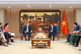 Prime Minister Pham Minh Chinh receives Wouter Van Wersch, Executive Vice President of Airbus International. (Photo: VNA)