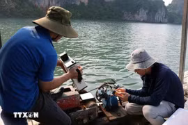 The research team collects seawater samples in Ha Long Bay and Cua Luc. (Photo: VNA)