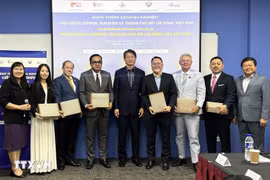 Delegates pose for a group photo at the seminar. (Photo: VNA)