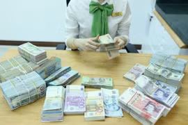 The State Bank of Vietnam sets the daily reference exchange rate at 25,100 VND/USD on March 27, down 2 VND from the previous day. (Illustrative photo: VNA)