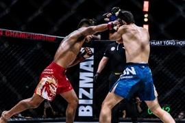 The National Mixed Martial Arts Club Championships on July 17-21 will factor into choosing the Vietnamese fighters for the SEA Games 2025. (Photos courtesy of VMMAF)