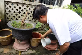 HCM City’s health workers inspect potential mosquito breeding sites during dengue fever surveillance. (Photo: VNA)
