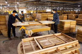Under the new agreement, New Zealand’s radiata pine will be recognised under Vietnam’s evolving timber construction standards, paving the way for increased market access in the rapidly developing Vietnamese market. (Photo: VNA)