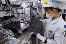 Production of printed circuit boards (PCBs) for electronic devices at the factory of Mektec Manufacturing Vietnam Co., Ltd, a Japanese-owned enterprise, in the Thang Long II Industrial Park, My Hao ward, Hung Yen province. (Photo: VNA)