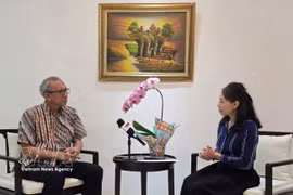 Beni Sukadis, Senior Coordinator at Indonesia’s Institute for Defence and Strategic Studies (Lesperssi) grants an interview to the Vietnam News Agency. (Photo: VNA)