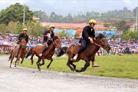 Horse racing at the finals of the Expanded Traditional Bac Ha Horse Racing Festival in Bac Ha, Lao Cai. (Photo: VNA)
