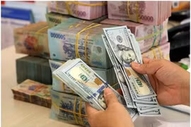 The daily reference exchange rate is set at 25,068 VND/USD on March 17. (Photo: VNA)