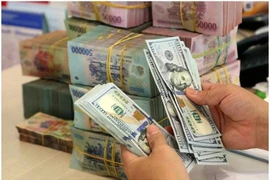 The daily reference exchange rate is set at 25,068 VND/USD on March 17. (Photo: VNA)