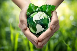 Promoting green consumption for sustainable development. (Photo: scp.gov.vn)
