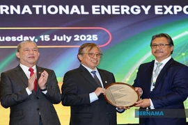 Malaysia aims to play key role in implementing ASEAN Power Grid. (Photo: asean.bernama.com)