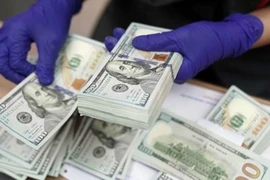 The State Bank of Vietnam sets the daily reference exchange rate at 25,236 VND/USD on September 8, down 12 VND from the last work day of the previous week. (Photo: VNA)