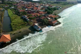 Houses damaged by abrasion on the North Coast, Sidaharja Village, Tegal District, Central Java (Photo: Antara)