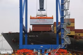 Ship M/V MSC BEIRA IV, operated by the world's largest shipping line MSC, arrived at Phuoc An Port in Nhon Trach district, southern Dong Nai province, on February 13. (Photo: Dan Tri)