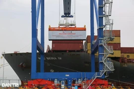 Ship M/V MSC BEIRA IV, operated by the world's largest shipping line MSC, arrived at Phuoc An Port in Nhon Trach district, southern Dong Nai province, on February 13. (Photo: Dan Tri)