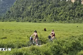 Foreign tourists in Viet Hai community-based tourism site. (Photo; VNA)