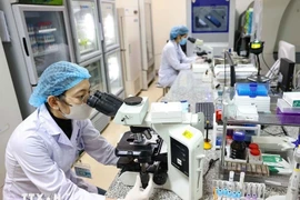 Scientific research activities at the National Hospital of Endocrinology. (Photo: VNA)