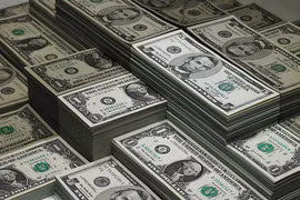 The State Bank of Vietnam sets the daily reference exchange rate at 25,113 VND/USD on April 24, 2026, up 8 VND from the previous day. (Illustrative photo: Getty images)