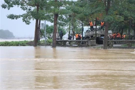 Water levels on the Huong River in Hue city continue to rise as recovery efforts from the previous flood are still under way on the afternoon of November 2. (Photo: VNA)