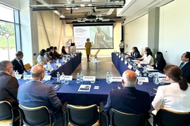 Vietnamese Ambassador to Hungary Bui Le Thaipays a working visit to the University of Győr, July 2025. (Photo: VNA)