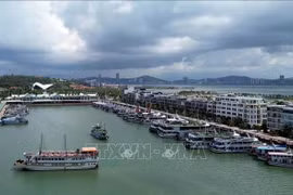 The Ha Long cruise fleet at Tuan Chau International Passenger Port. (Photo: VNA)