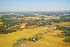 The latest approvals underscore the growing presence of Vietnamese rice in one of the world’s most demanding markets. (Photo: VNA)