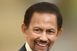 Sultan of Brunei Darussalam Haji Hassanal will pay a state visit to Vietnam from November 30 to December 2. (Photo: VNA)