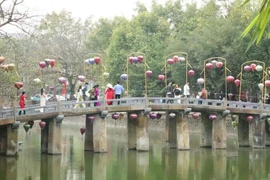 Tourists visit Ninh Binh province. (Photo: VNA)