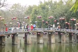 Tourists visit Ninh Binh province. (Photo: VNA)
