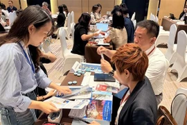 Vietnamese and Japanese travel businesses meet in person to exchange tourism information. (Photo: VNA)