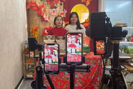 By leveraging online business, enterprises can cut marketing costs and optimise product prices for consumers. (Photo: VNA)