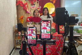 By leveraging online business, enterprises can cut marketing costs and optimise product prices for consumers. (Photo: VNA)