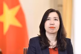 Deputy Foreign Minister Le Thi Thu Hang (Photo: VNA)