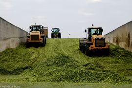 TH Group "breaks" pollution cycle with green technologies. (Photo: TH Group)