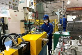 Production activities at Xuan Hoa Vietnam JSC, Phu Tho province. (Photo: qdnd.vn)