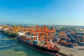Loading and unloading container cargo at a Vietnamese seaport. (Photo: PV/VietnamPlus)