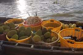 Kon Tum Province is implementing stricter quality control measures for durian and jackfruit exports following a warning from China about food safety shortfalls in some Vietnamese durian shipments. (Photo: VNA) 